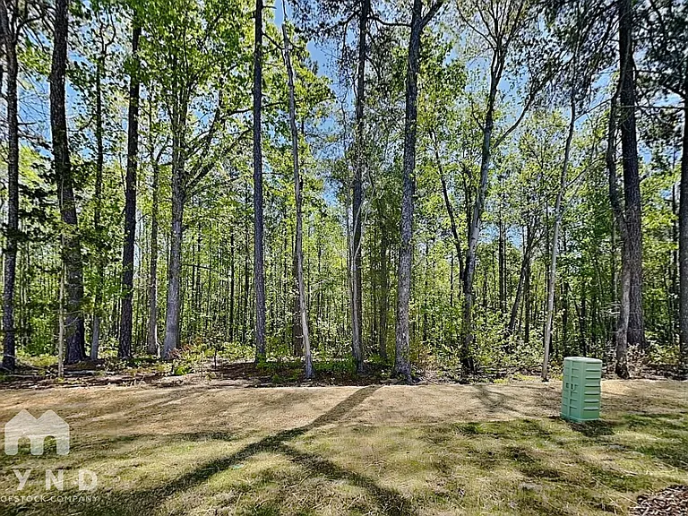 3005 Fulong Dr — Photo 16