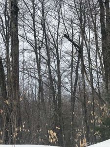 Saint Martins Hl, Munising, MI, 49862