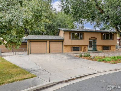 2204 Ulmus Dr, Loveland, CO, 80538