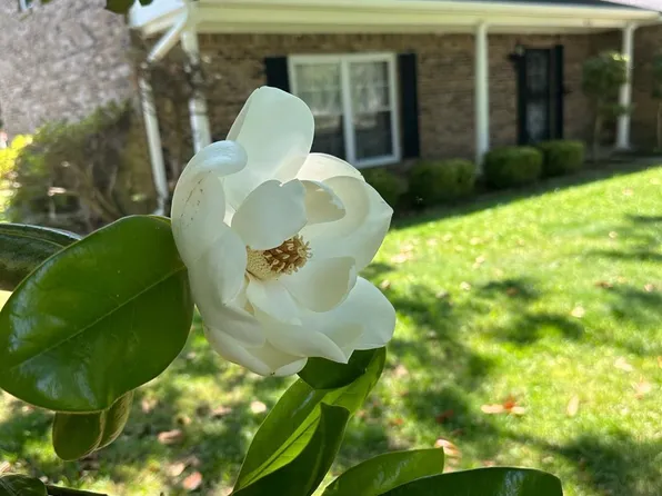 128 N Magnolia Dr, Trumann, AR 72472