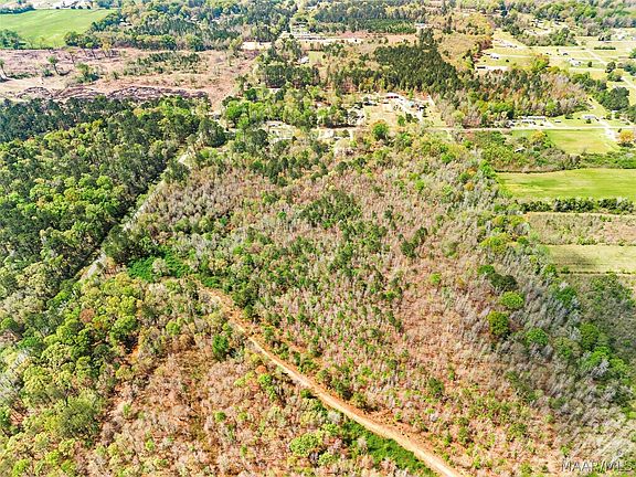 4th image of 1670 Gossom Switch Rd