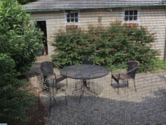 2nd image of 1600 Mount Salem Ln
