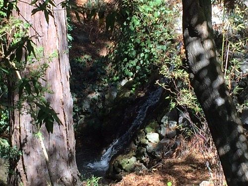 4th image of 2241 Glen Ave