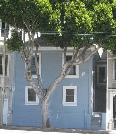 1st image of 1115 Potrero Ave