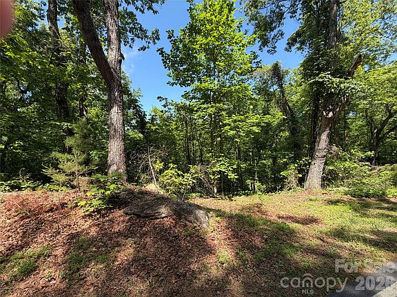 2nd image of 0 Buffalo Shoals Rd #1