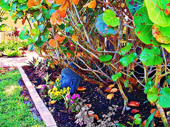 2nd image of 11098 Gulfstream Blvd