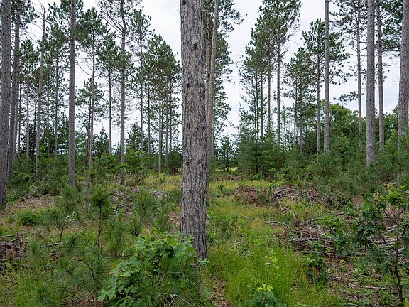 4th image of LOT 6 Bollig Ct
