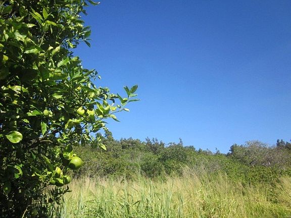 3rd image of 94-7000 Mamalahoa Hwy Lot 10-A