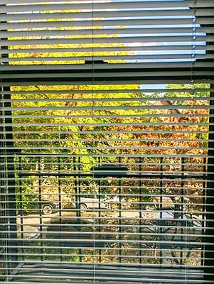 Rented by Corcoran | media 1