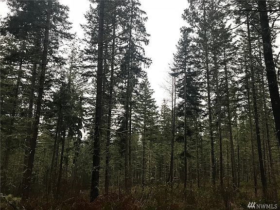 3rd image of 38922 Madrona Dr E