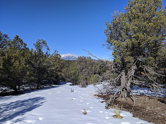 5th image of 14361 County Road 193