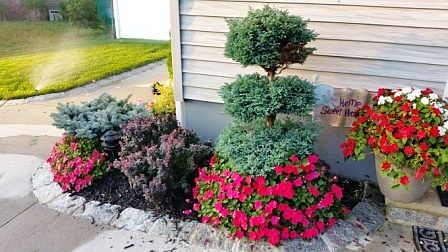 Professional landscape