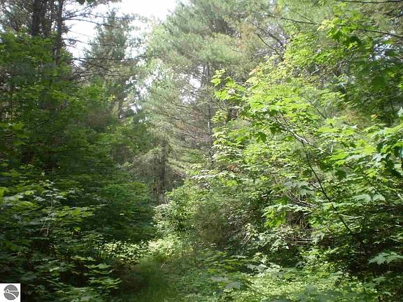 5th image of 0 Deermount Trl