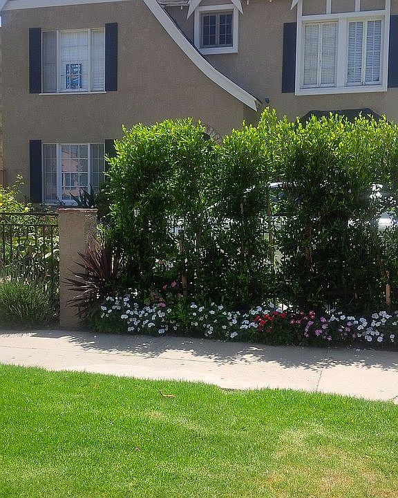 2nd image of 1346 S Rimpau Blvd