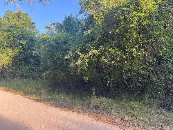 1330 NE River Wood Rd Lot 45A, Arcadia, FL 34266