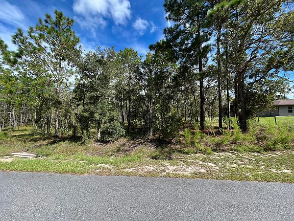 2nd image of Tbd Amberjack Avenue