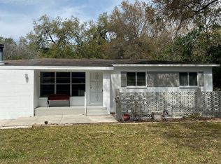 2313 Carroll Pl, Tampa, FL 33612