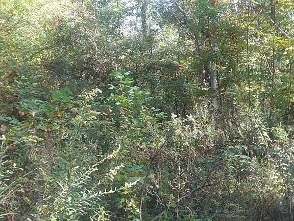 3rd image of 4753 Hillard Ln