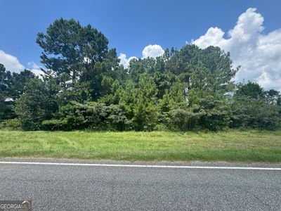 0 Highway 65, Pelham, GA, 31779