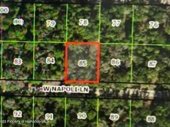 8163 W Napoli Ln, Crystal River, FL 34428