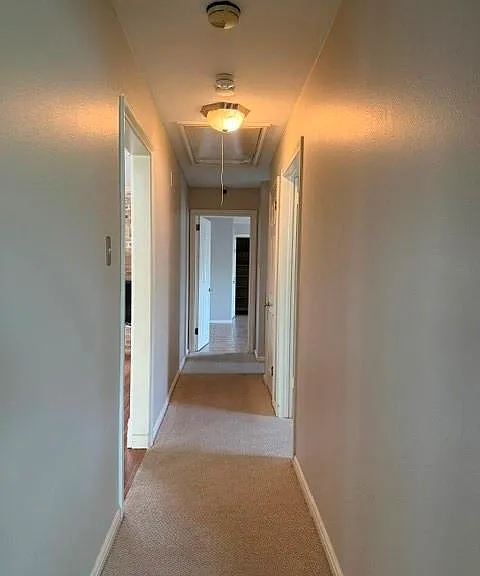 5031 Twin Candle Dr — Photo 11