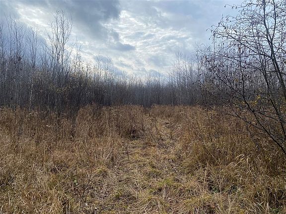2nd image of Near Timber Road