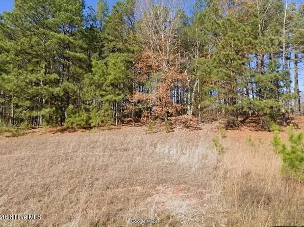 8224 Buckhorn Landing Road, Sims, NC 27880