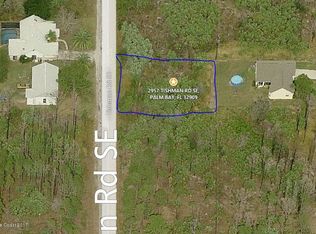 2957 Tishman Rd SE, Palm Bay, FL 32909