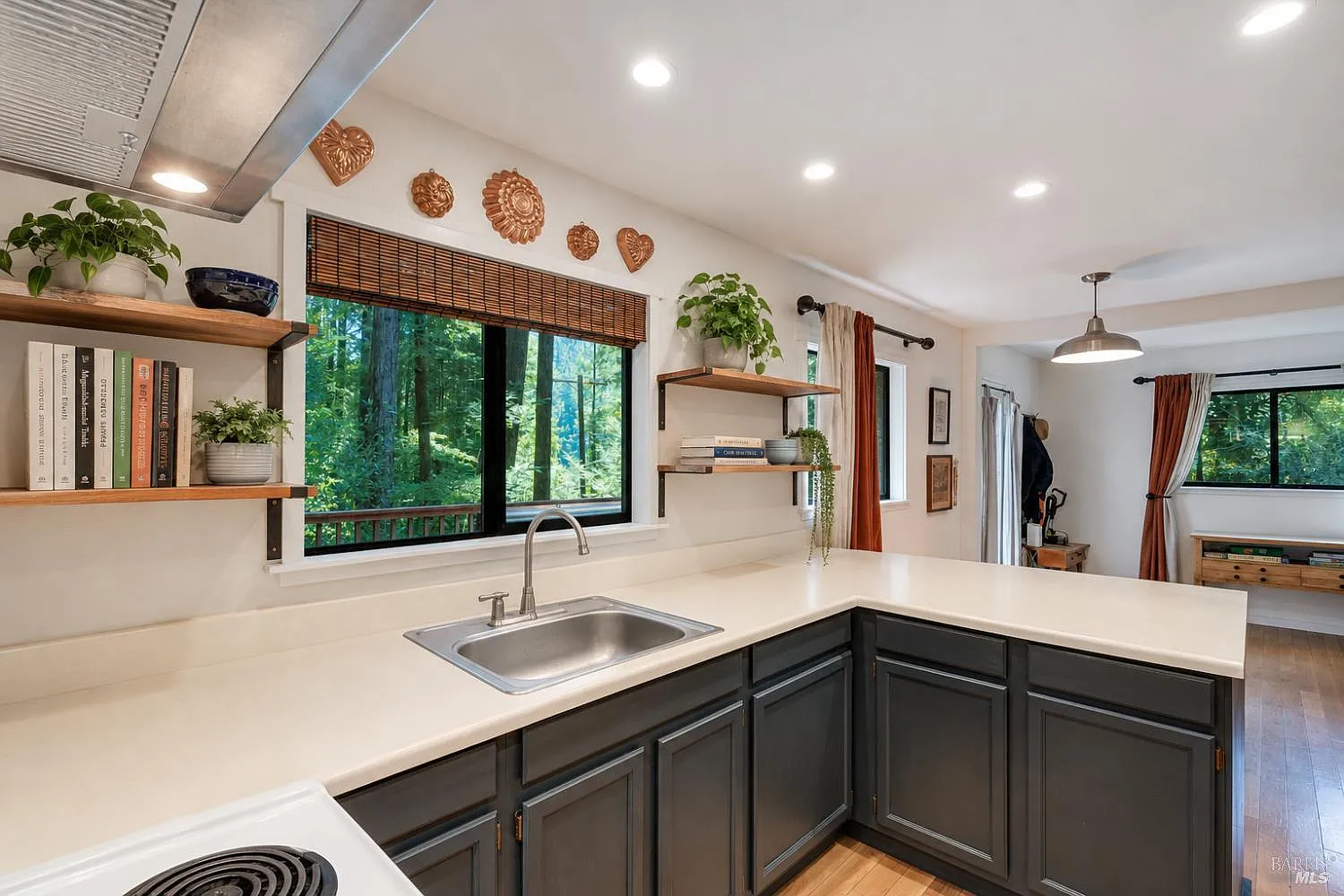 9079 Middle Terrace - Photo 5