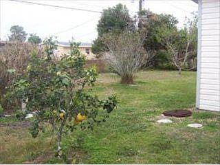 2nd image of 1347 Hollywood Dr