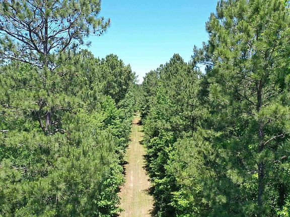 3rd image of 1250 County Road 3213