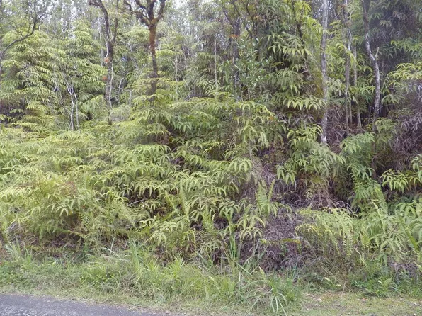 Nene St Lot 10, Mountain View, HI 96771