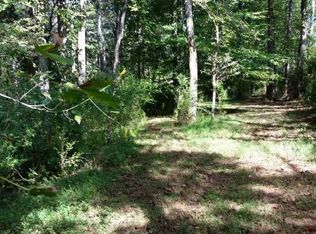 103 Newt Green Rd, Cumming, GA 30028