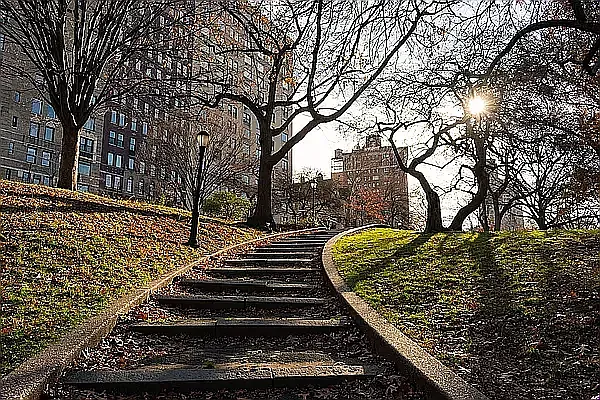 Rented by Vector New York, LLC | media 24