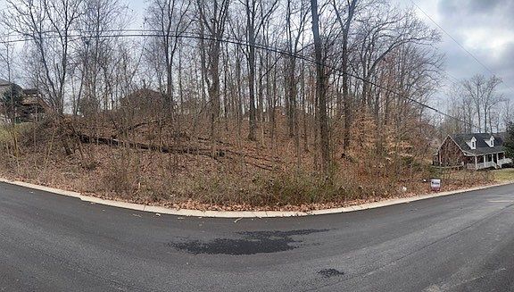 5th image of 106 High Ridge Trl Lot 193