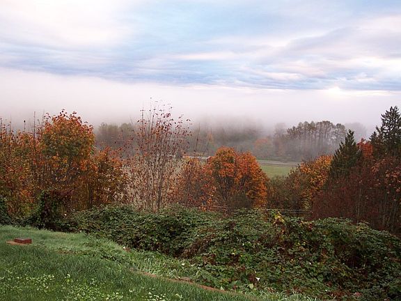 Found another backyard view shot