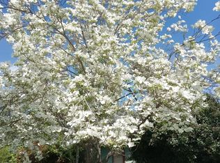 476 N Main St #8, Ashland, OR
