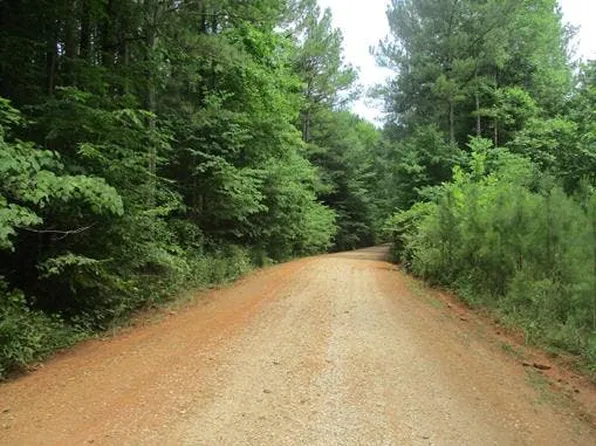 11497 County Road 62, Wadley, AL 36276