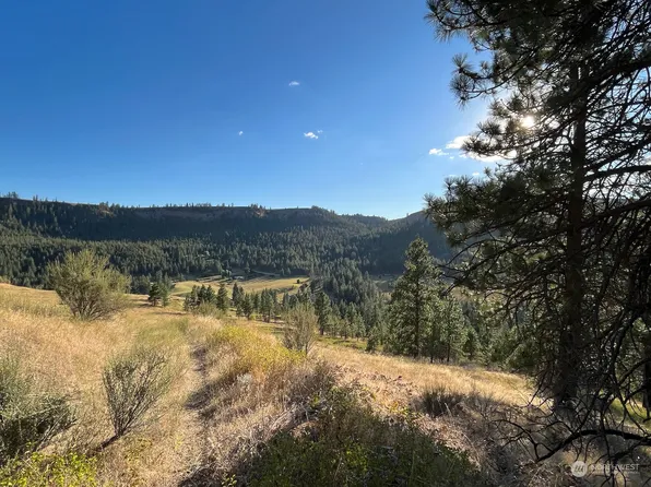 0 Pcl C&D Rays Place N, Davenport, WA 99122