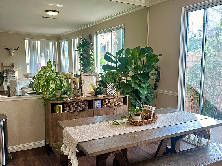 24482 Sunshine Dr — Photo 10