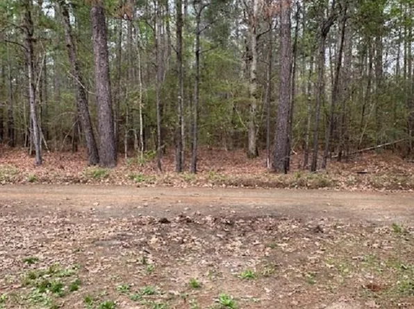 1289 Campsprings Rd, Hemphill, TX 75948