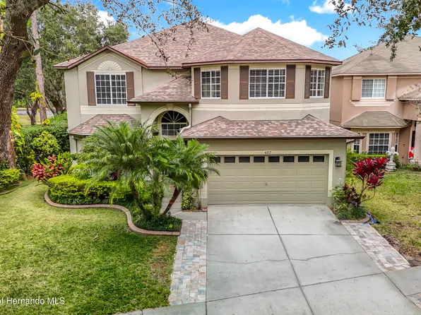 4217 Fishermans Lake Dr, Lutz, FL 33558