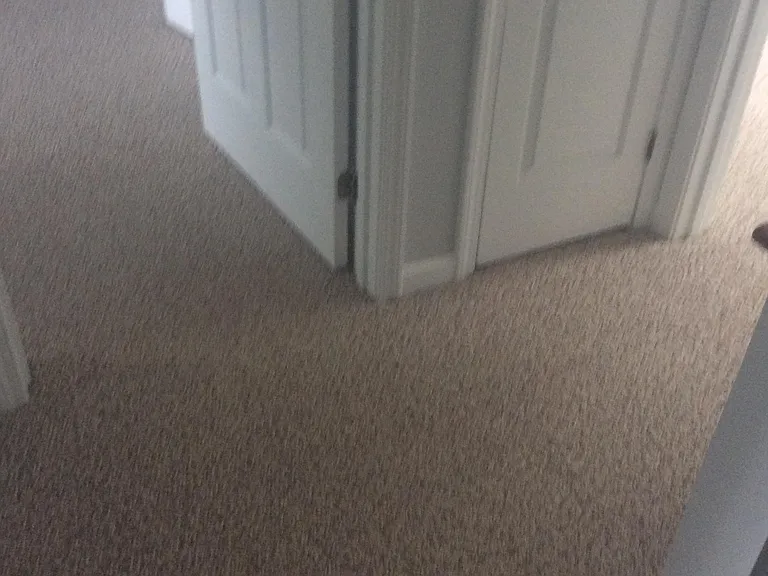 2 Reynolds St #1 — Photo 20