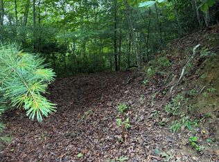 LOT 3 Mountain Vista Ln, Topton, NC 28781