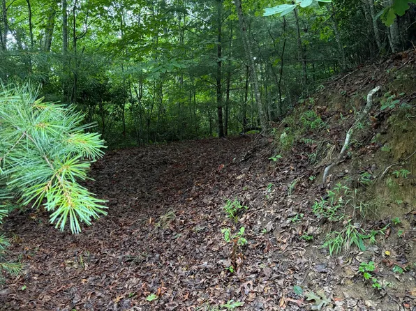 LOT 3 Mountain Vista Ln, Topton, NC 28781