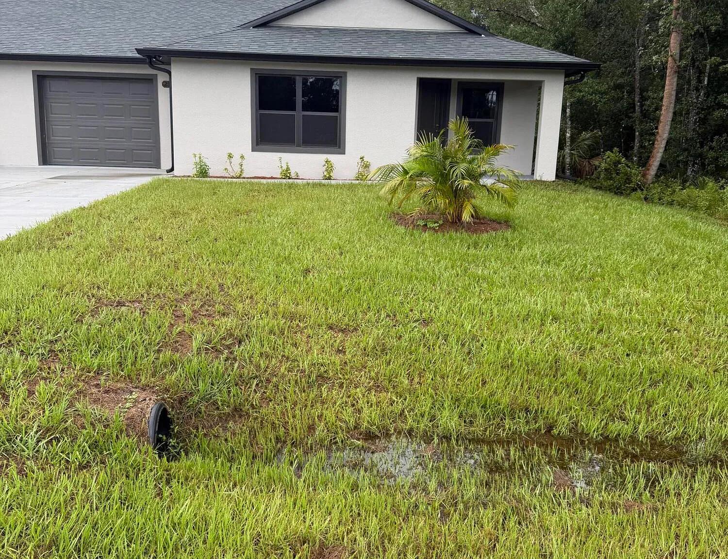 4 bed, 2.0 bath, 1736 sqft, $2,300 — Photo 2