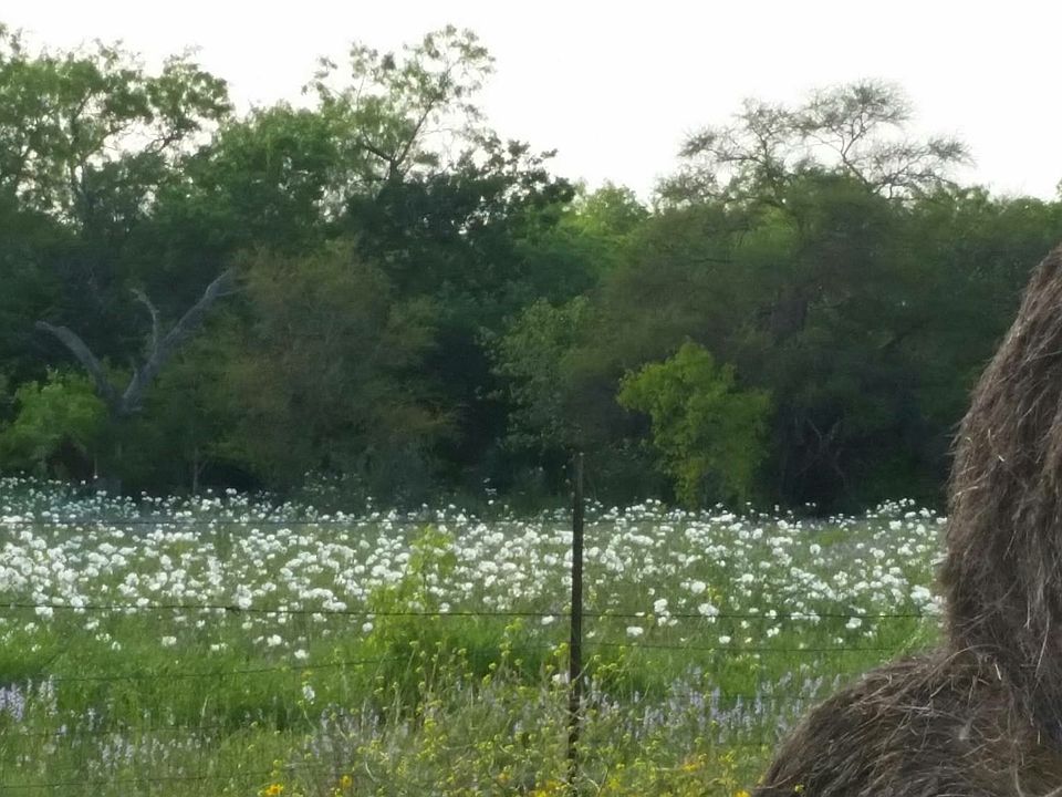 1st image of 5390 Hwy 173