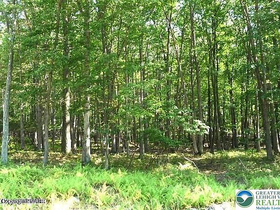 3rd image of 407 Sassfras Rd