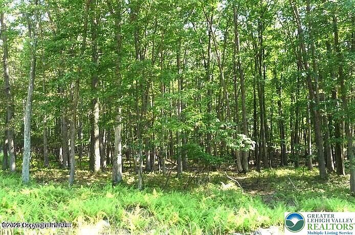 1st image of 407 Sassfras Rd