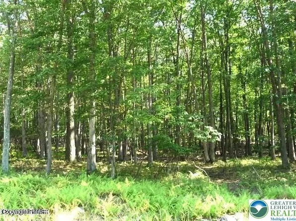 407 Sassfras Rd, Penn Forest Township, PA 18210